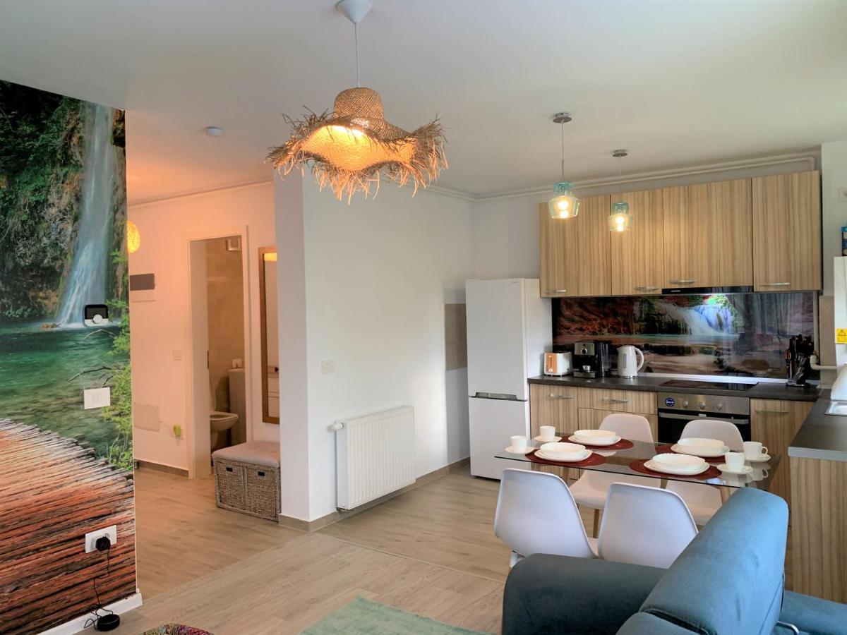 Bwa Zen Apartment Brasov Bagian luar foto
